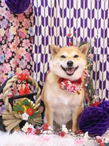 20250125コニーちゃん